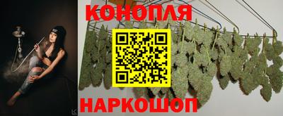 mdpv Гудермес