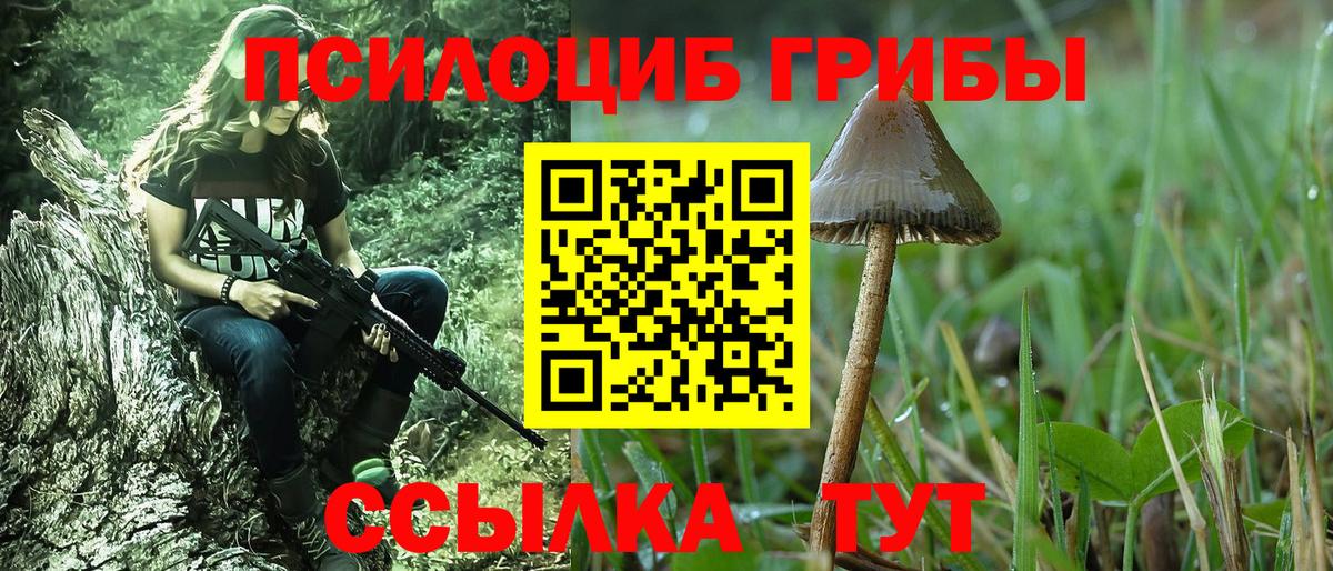 Псилоцибиновые грибы Psilocybine cubensis Орёл